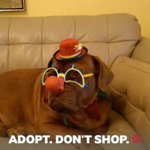 Meet your Posher, Lynn